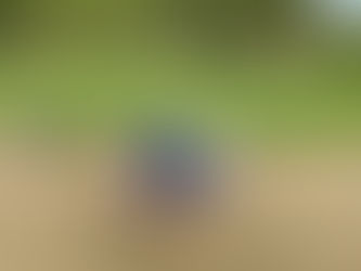 Mediterranean Cruise 2025 - Olympia