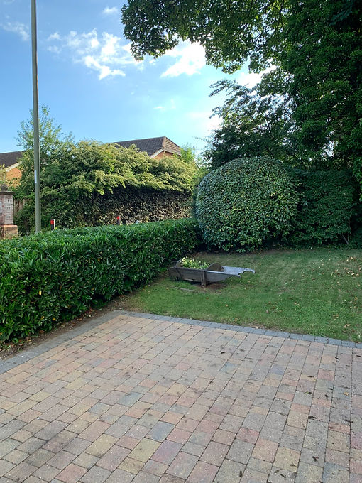 Trimmed hedge and grass.