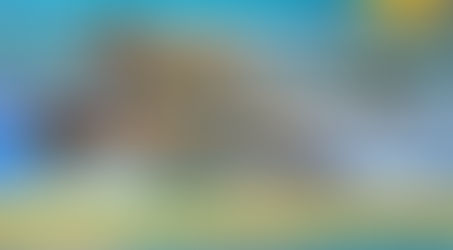 【游泳科學】增強體格 - 拆解四泳式的肌肉參與