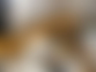 Neue Leckereien im Frühjahr !