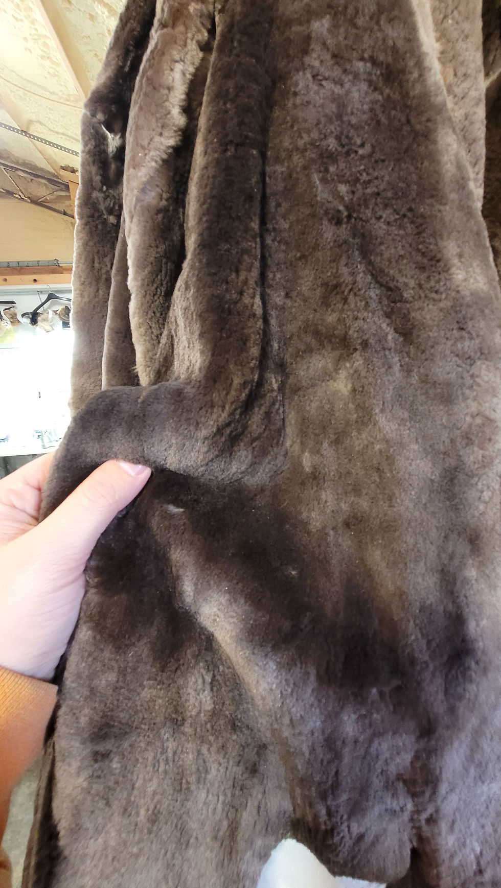 Thumbnail: Sheared Beaver Pelt 