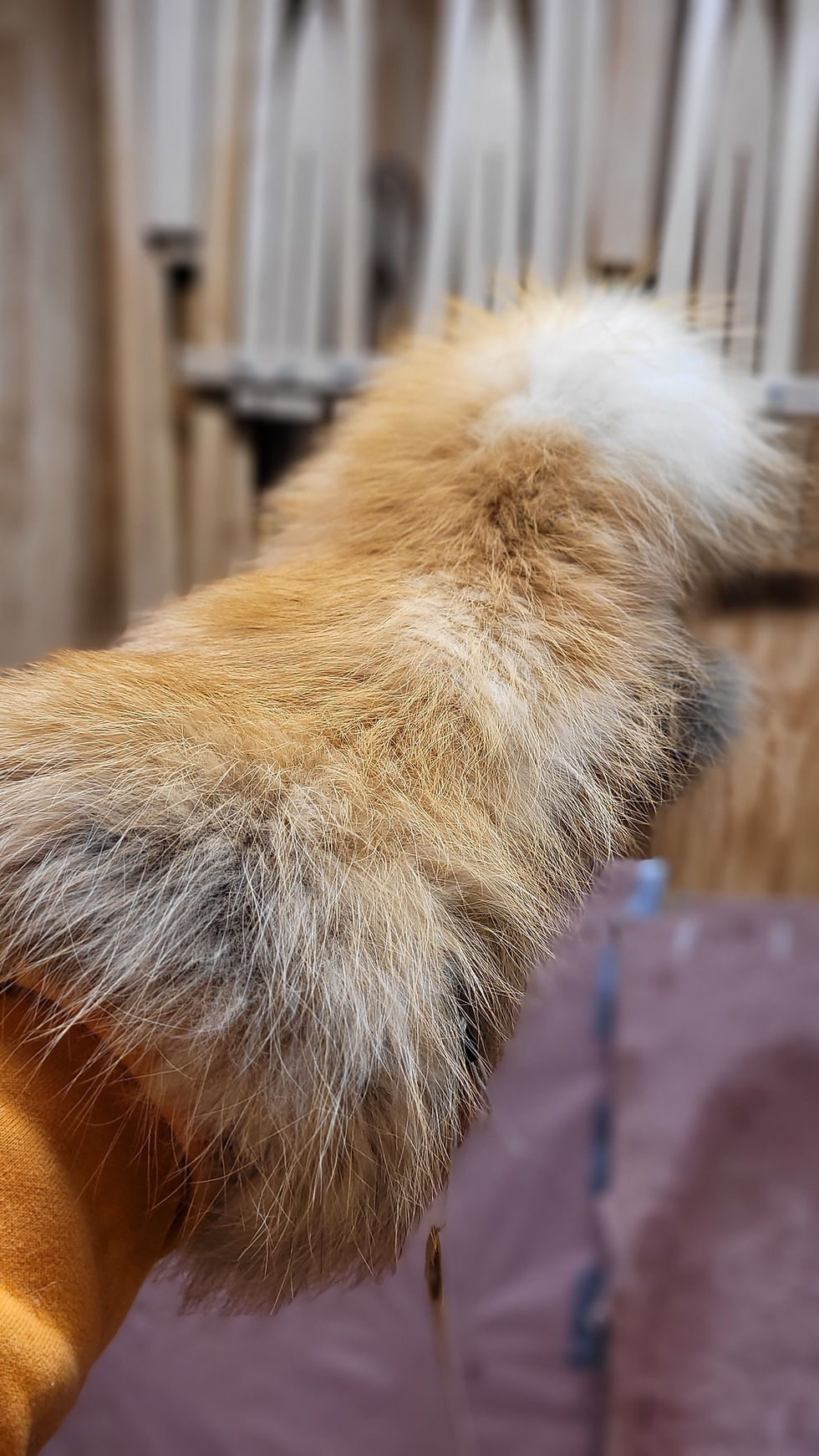 Thumbnail: Ladies Red Fox Gauntlets - Medium
