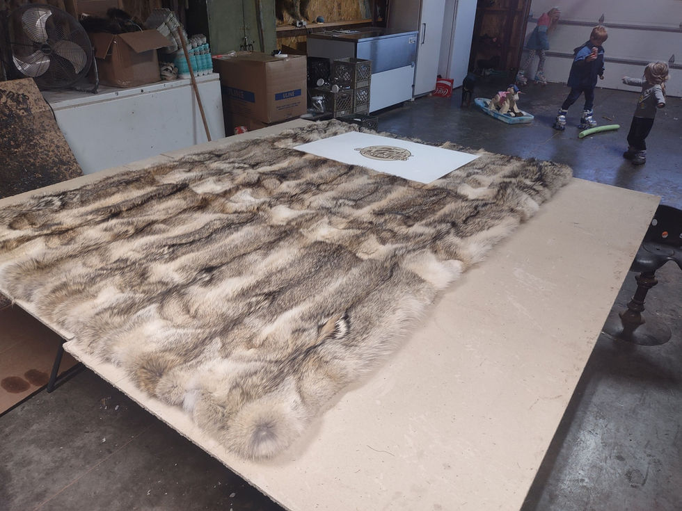 Pale Coyote Blanket