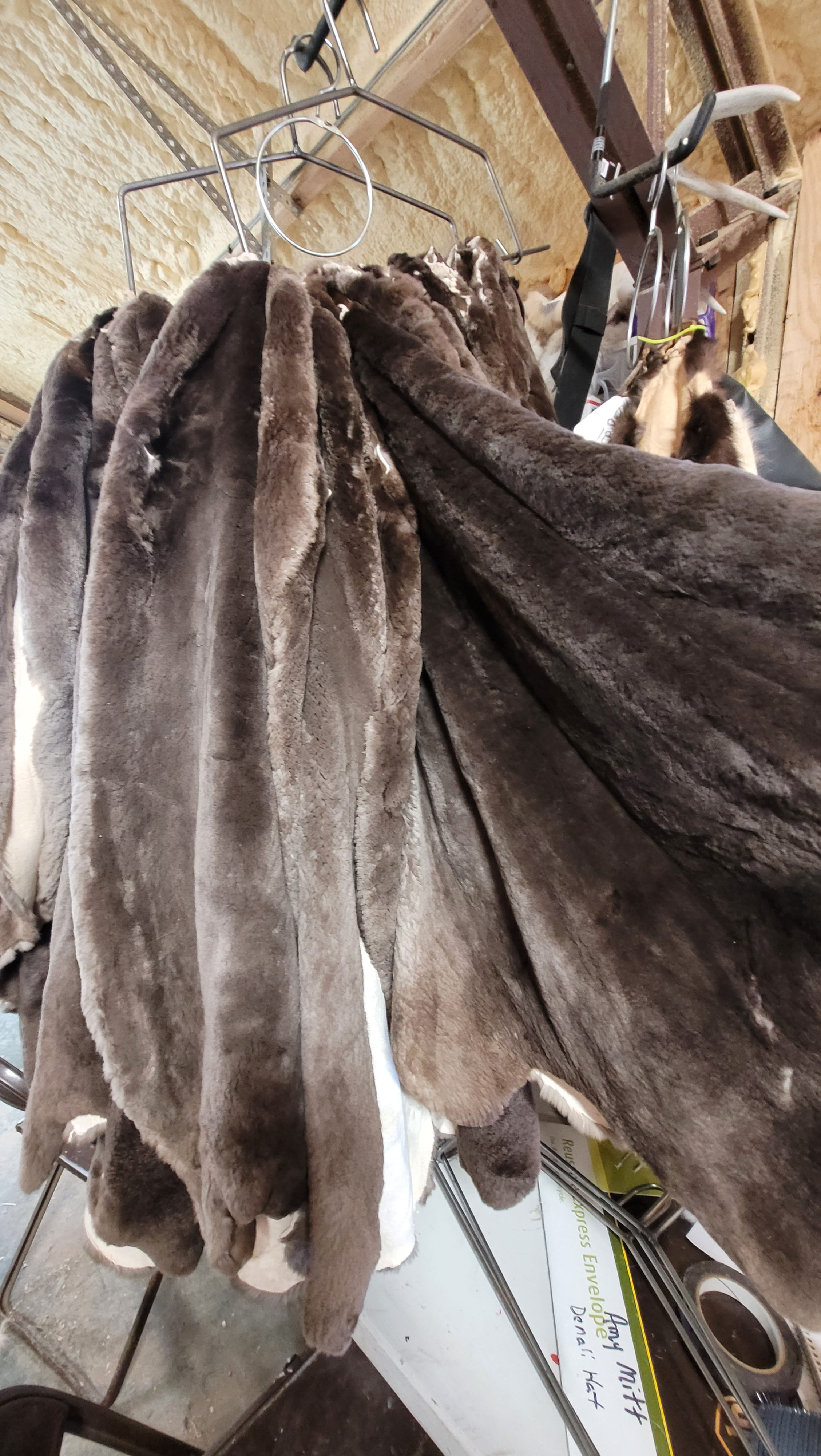 Sheared Beaver Pelt 