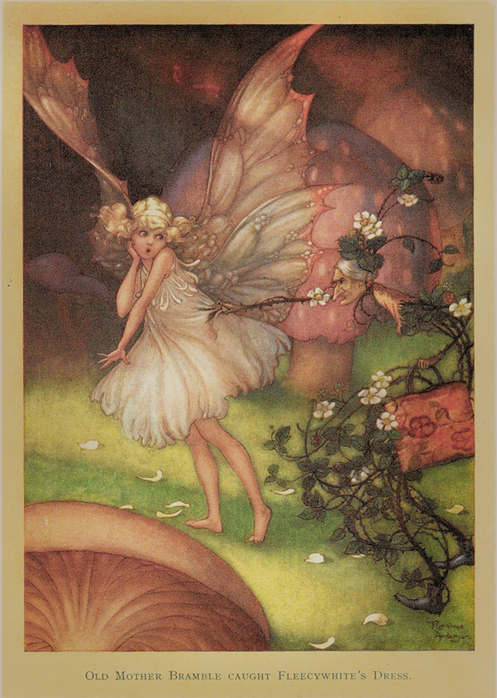 An image from The Password to Fairyland, a fairy tale book by Elizabeth Southwart, illustrated by Golden Age illustrator Florence Mary Anderson. A fairy in a white dress with wings is surprised as her dress is caught by a bramble. Background includes mushrooms and flowers. Text reads: "Old Mother Bramble caught Fleecywhite's Dress."