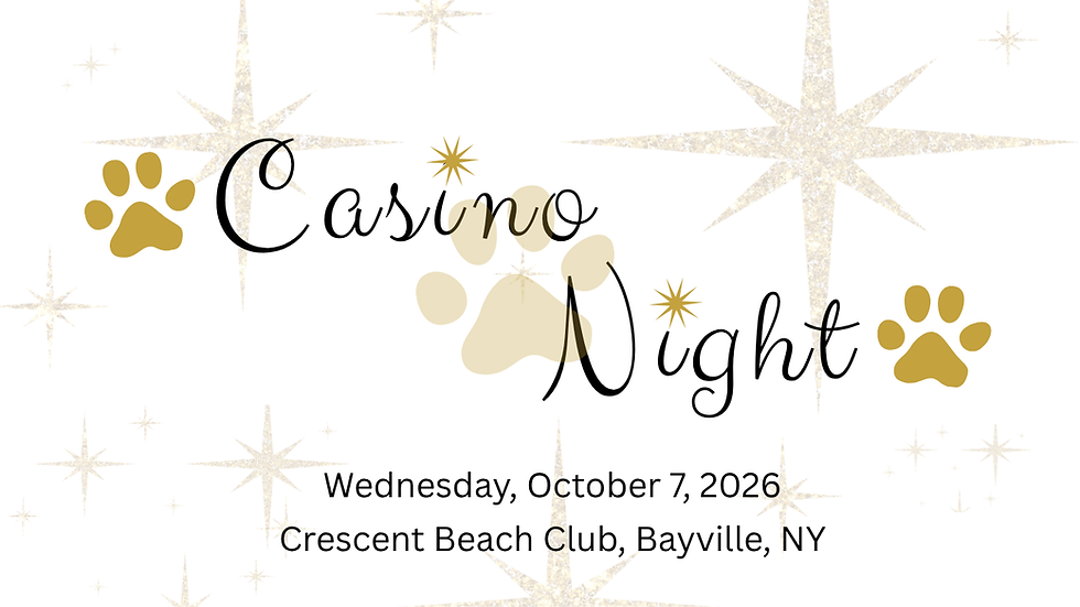 Casino 26 banner.png