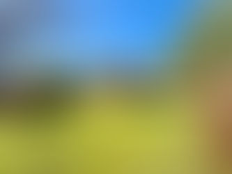 NEW PRICE: A two-bedroom semi-detached bungalow in need of modernisation and with potential to extend (STNPC) offered to the market with no ongoing chain...