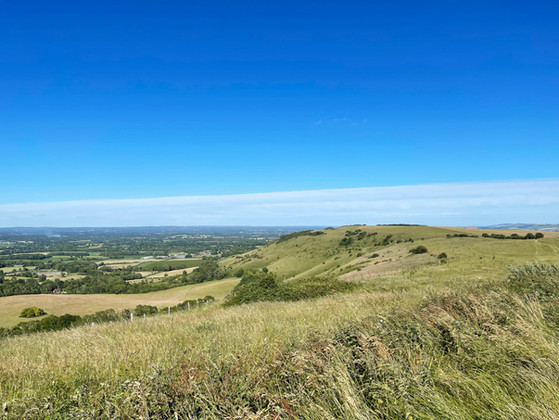 View over South Downs