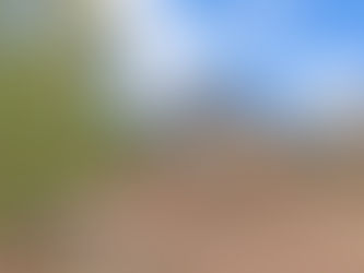 Price Reduced ✨Spacious Three-Bedroom Detached Bungalow with West Facing Garden