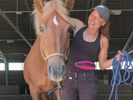 Kesällä järjestetään omahevoskurssi