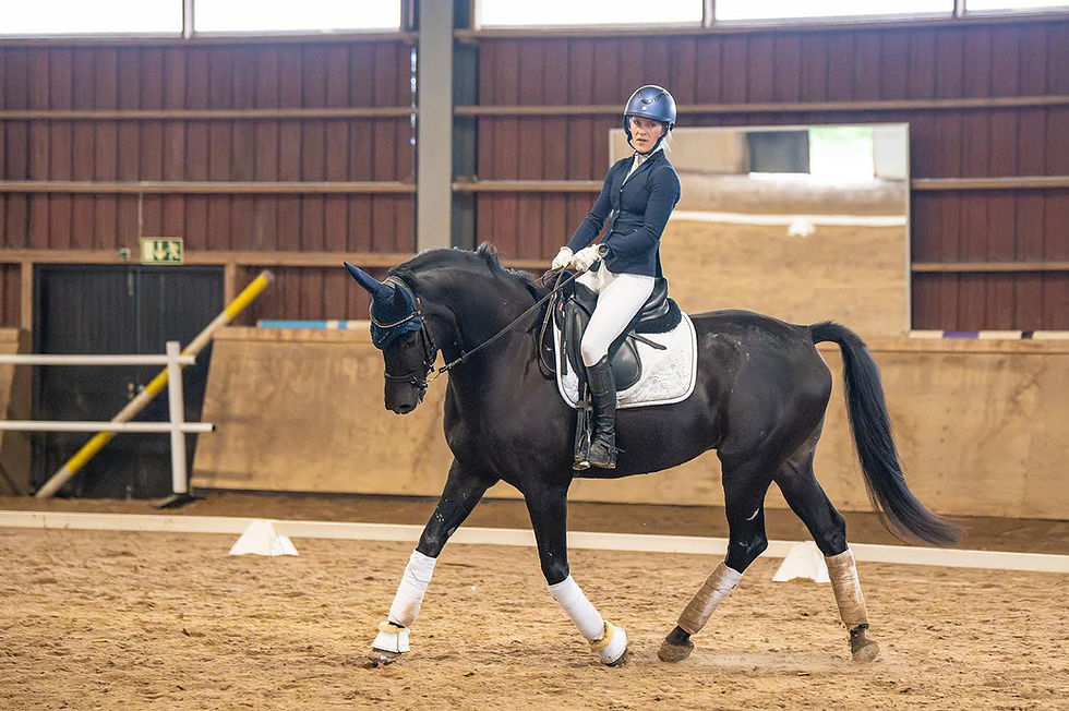 Papulla mitattu 39,5 asteen kuume