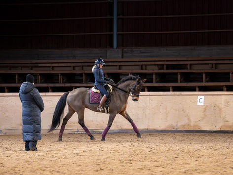 Olympiaratsastaja Justina Vanagaite valmentaa Happy Rider Areenalla 25.-26.10.