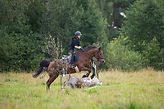 DSC_3130.jpg