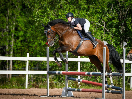 Kesäkuulumisia meiltä