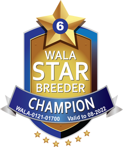 Majestic Champion Logo 2022.png