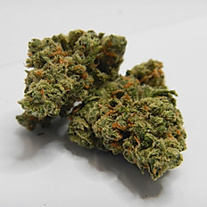 JACK HERER