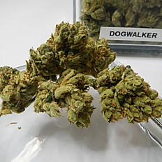 DOGWALKER OG