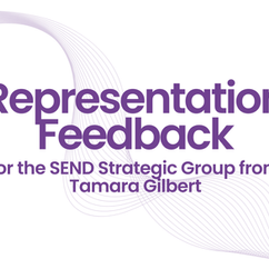 SEND Strategic Group Representation Feedback (April 2026)