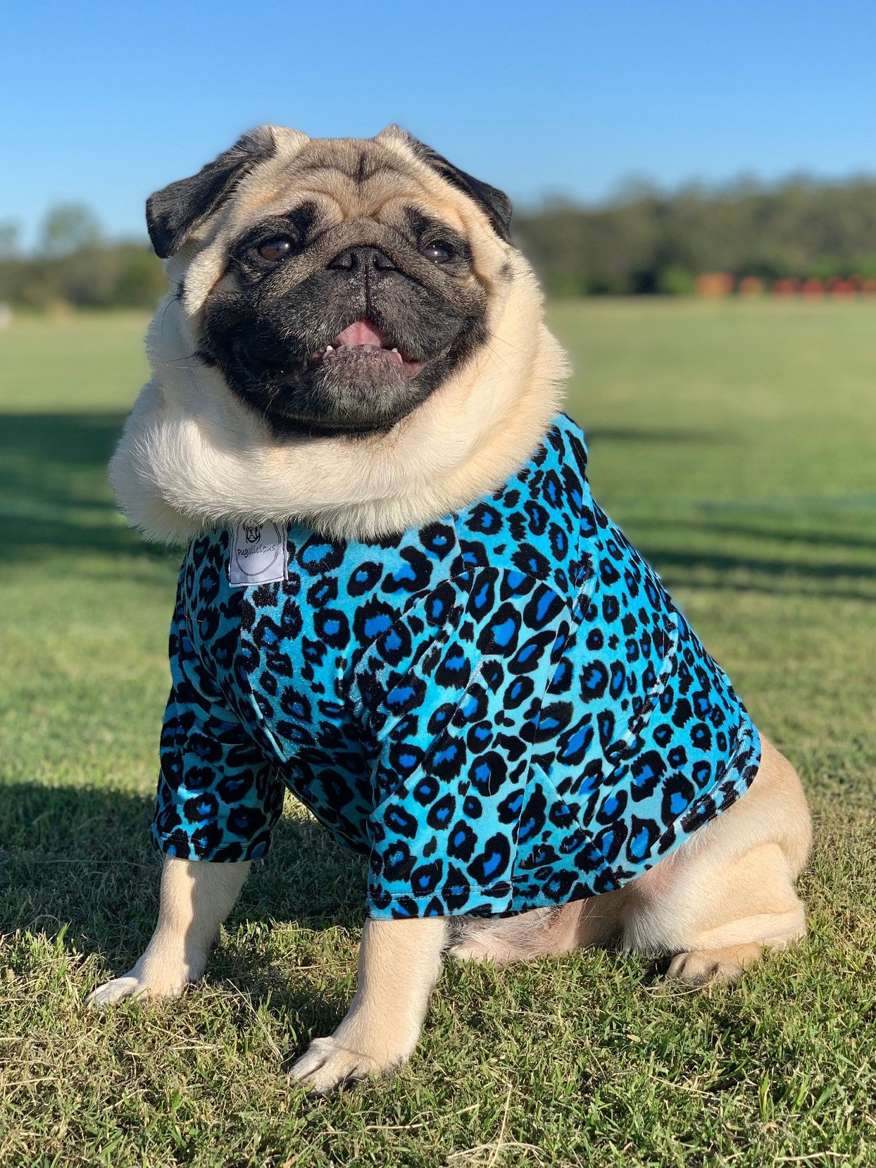 Leopard Velvet Top Blue