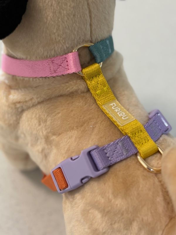 Thumbnail: Furlou Rainbow Dog Harness