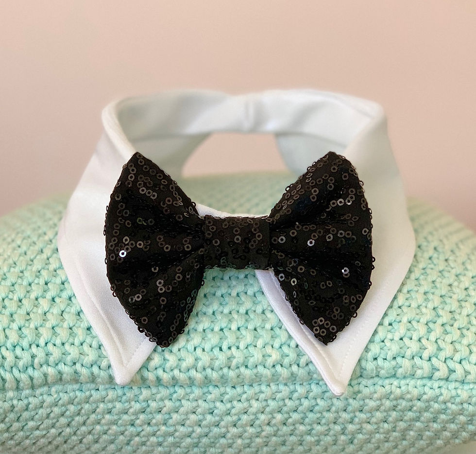 Thumbnail: Collar & Bow Tie Combo