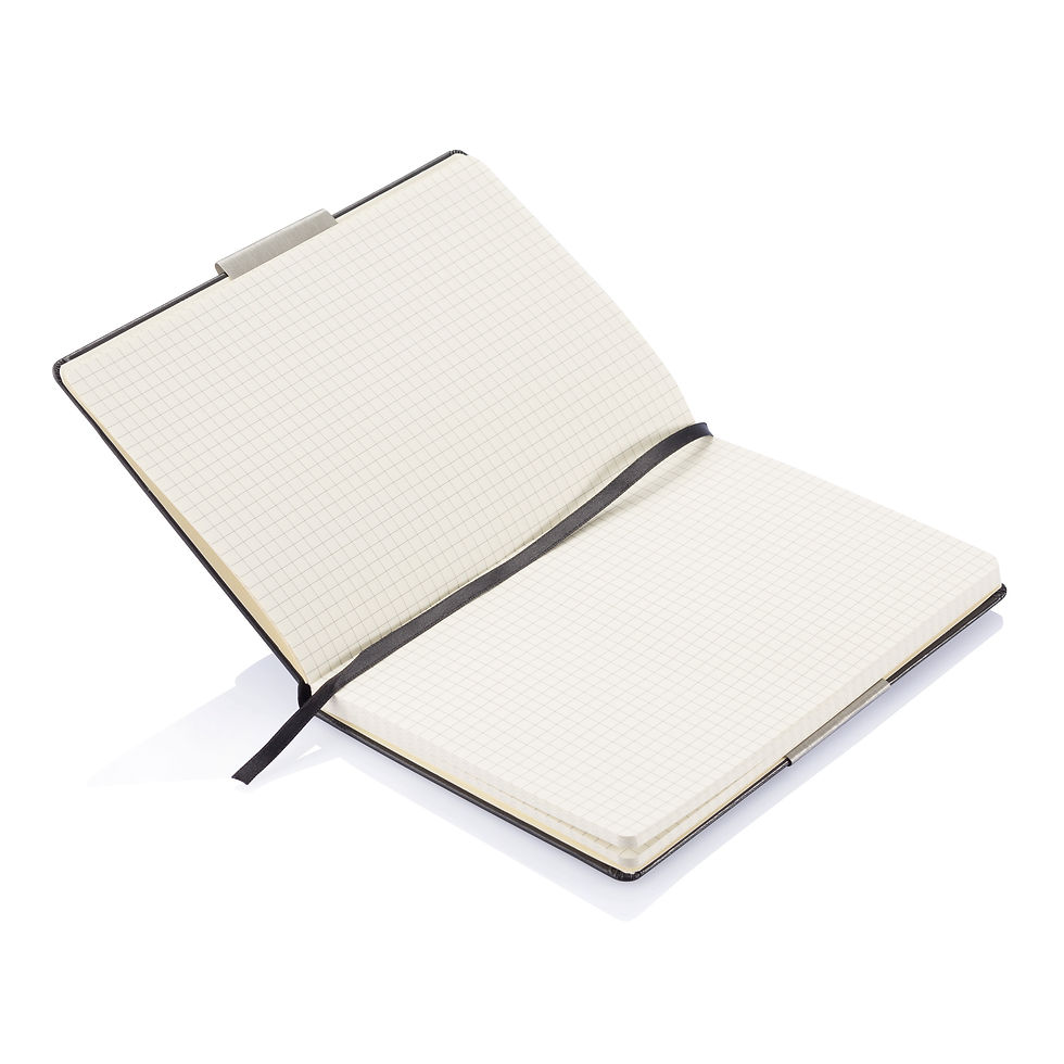 Miniaturbild: Notizbuch SILVERSLEEVE
