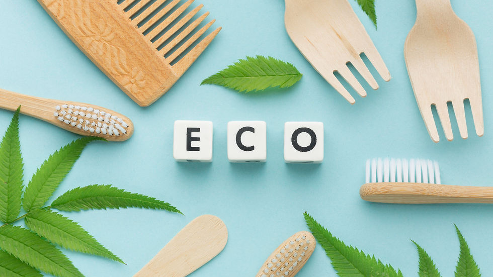 Top 10 Eco-Friendly Products You Can Use Every Day