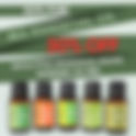 Elevating the Treatment Room: The Power of Essential Oils for Estheticians