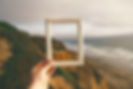 pine-watt-3_Xwxya43hE-unsplash_edited.jpg