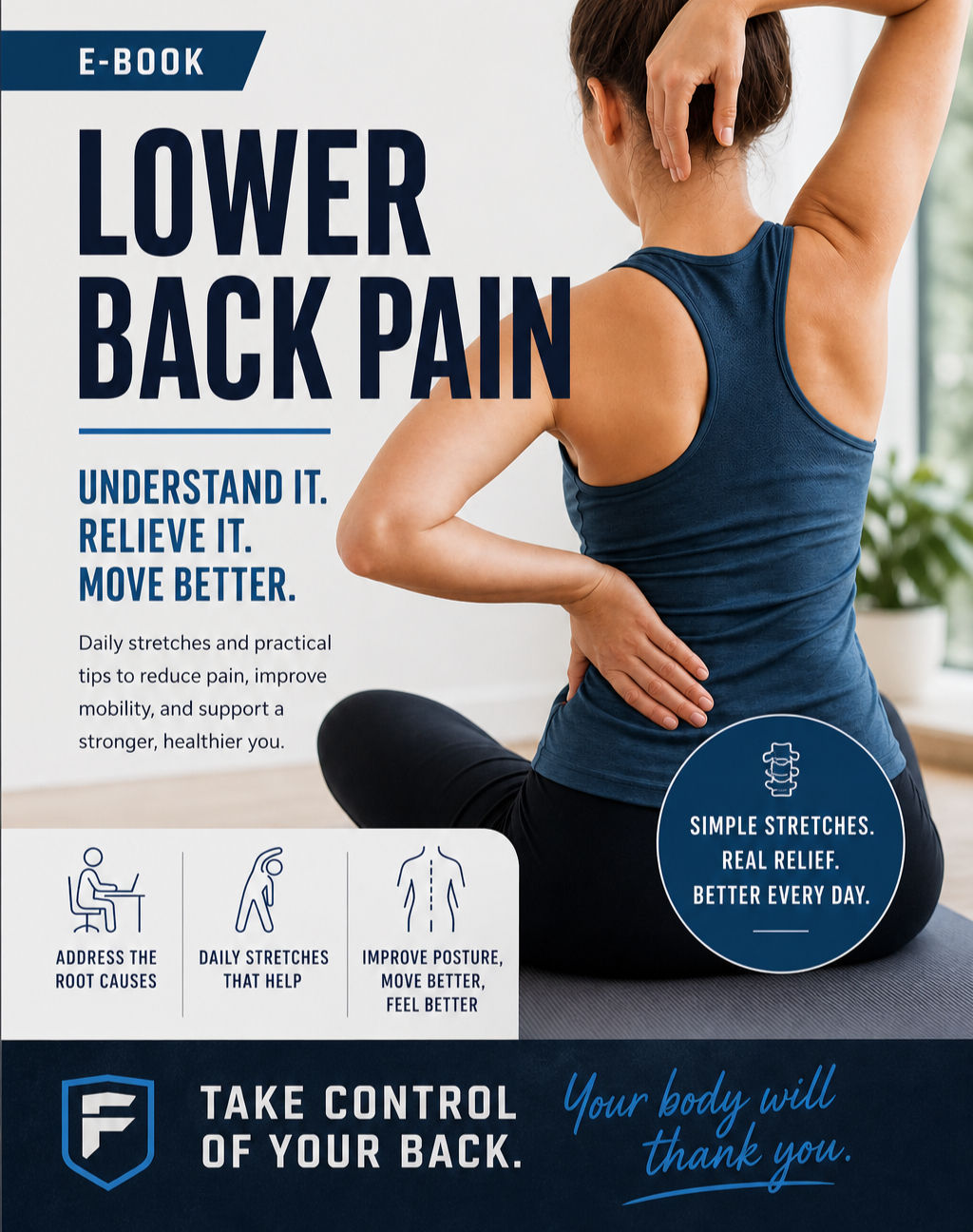 The Low Back Pain Relief Blueprint