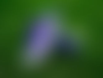 Football: Find Your Speed at the adidas F50 Boot Trial, and Win a Pair of David Beckham’s Autographed F50 Boots