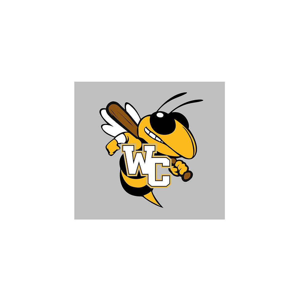 Thumbnail: WC Youth Baseball Design 5 (adult sizes)