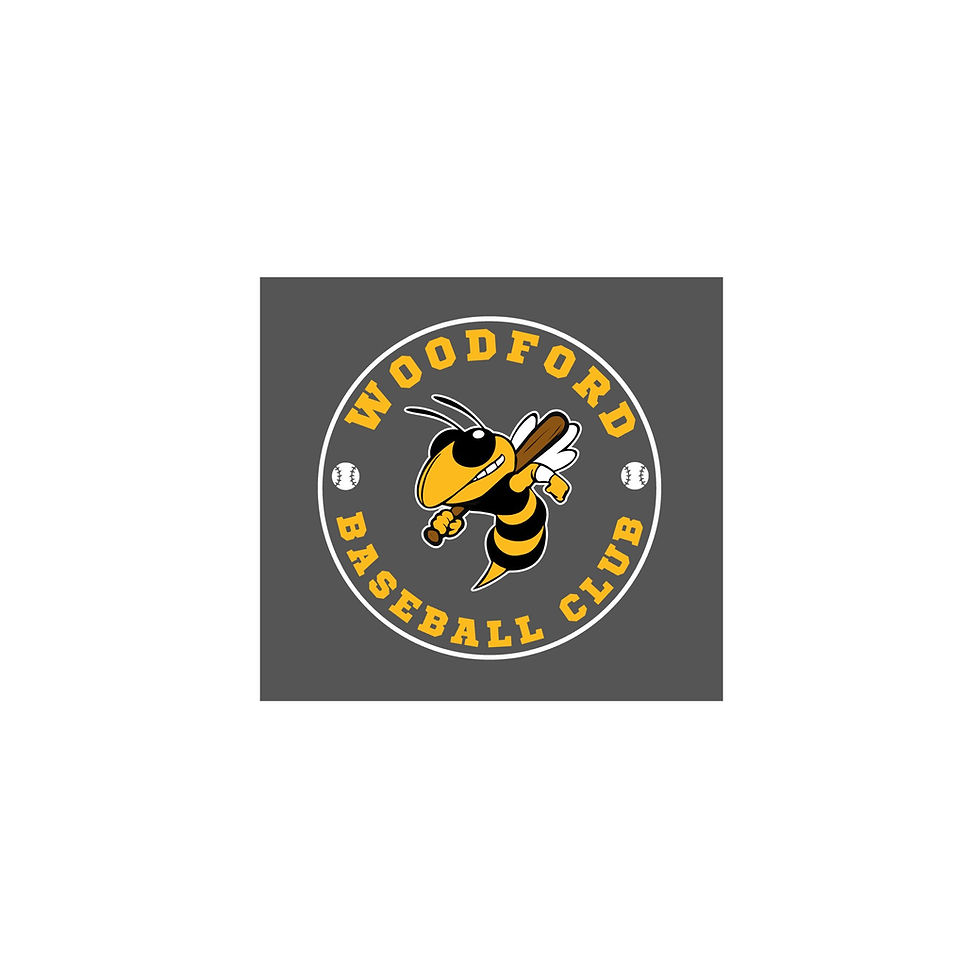 Thumbnail: WC Youth Baseball Design 4 (adult sizes)