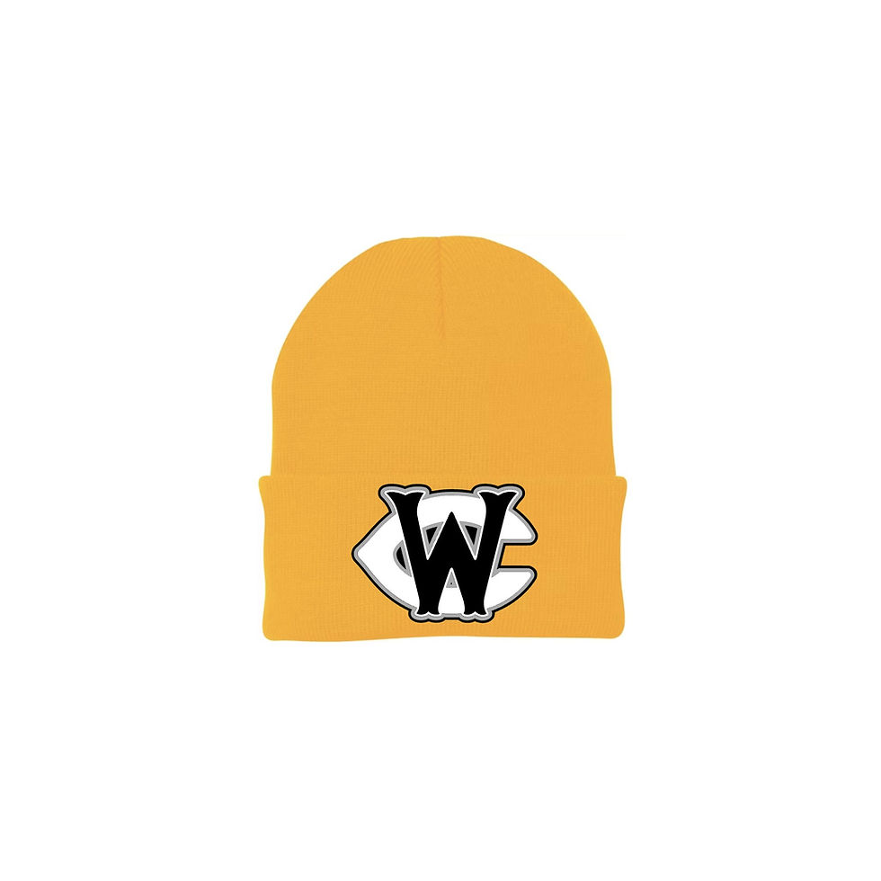 Thumbnail: WC Youth Baseball Beanie