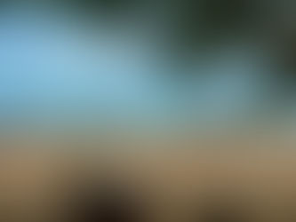 256. Tag