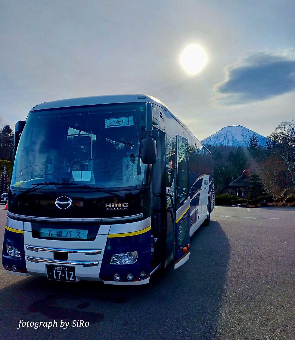 Mt Fuji - 1. Station