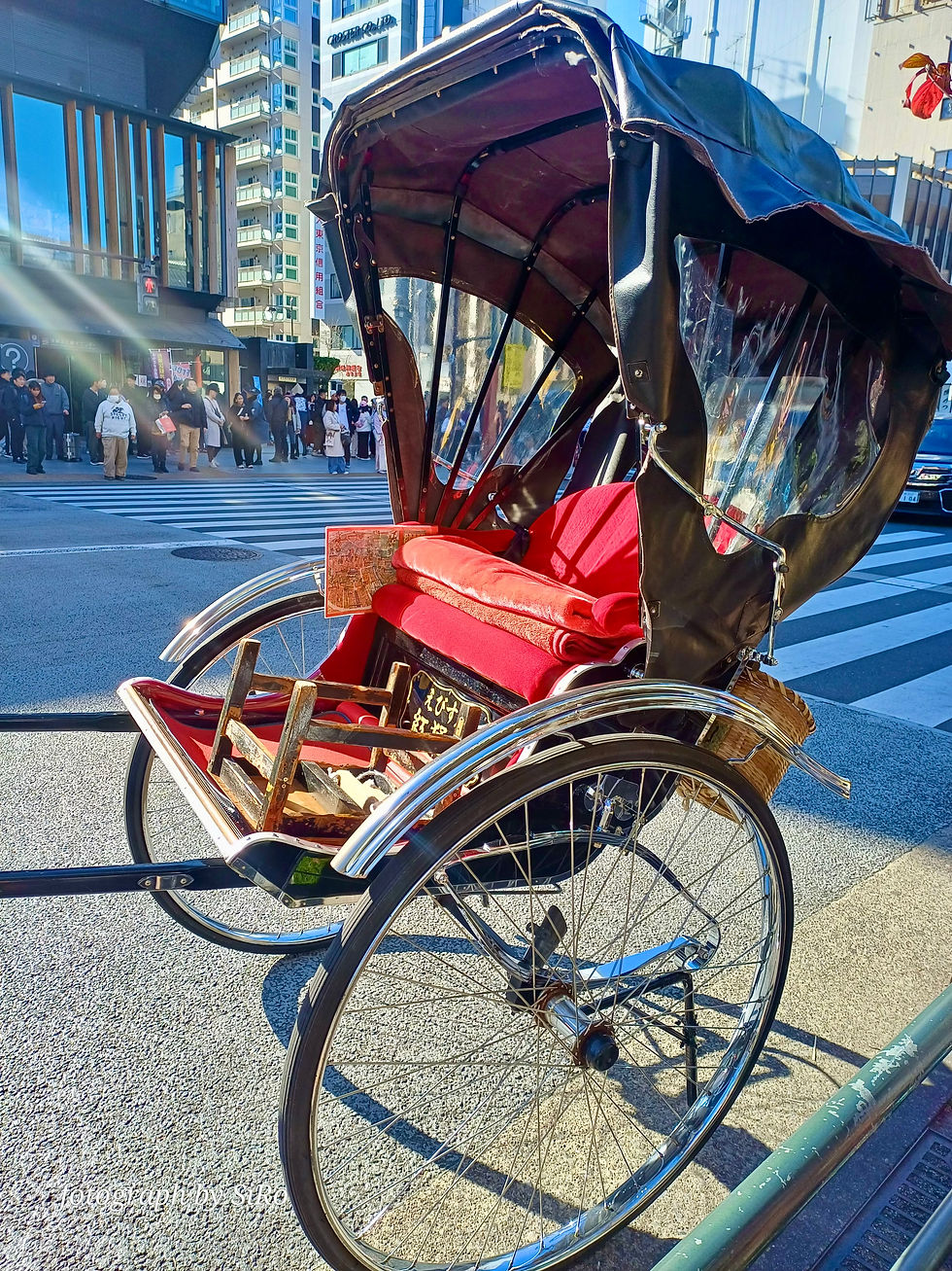 Tokyo - Asakusa20241228_153614