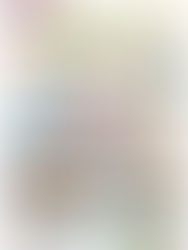 Waンダーふれあい感謝デー2025