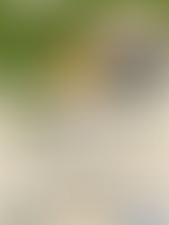 郡里島農道かけっこ大会2025