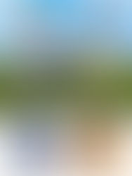 イーグレッツサポーターズクラブフェスティバル2025