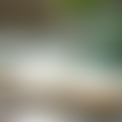 Expert Bookkeeping and CFO Services for Business Growth