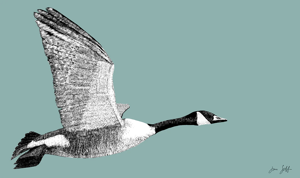 Thumbnail: Framed East Flight