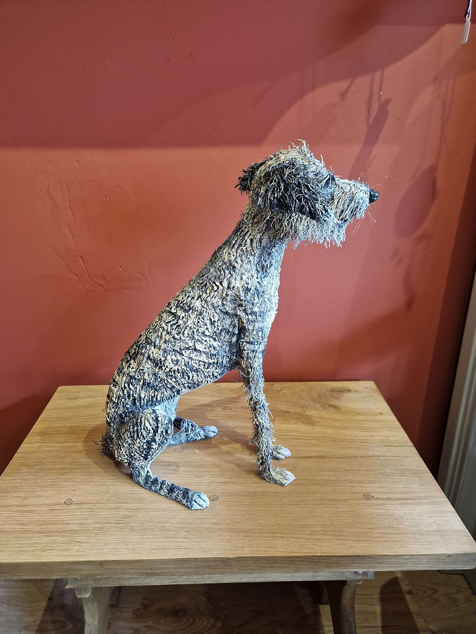 Thumbnail: Half Hairy White Chested Lurcher