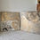 Thumbnail: Cosmos Diptych