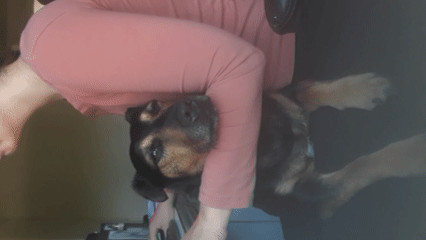 Proyecto de vÃdeo 5.gif