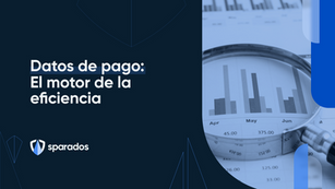datos de pago