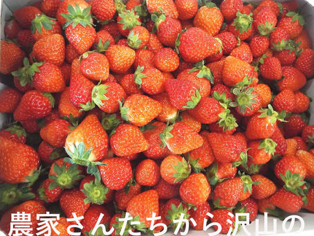 🍓今が旬のいちご・・・💛🍓
