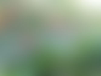 🍓村上農園さんでいちご狩り🍓