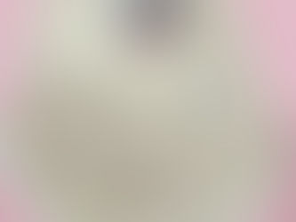 社長の一押しアイス ラムレーズンアイス