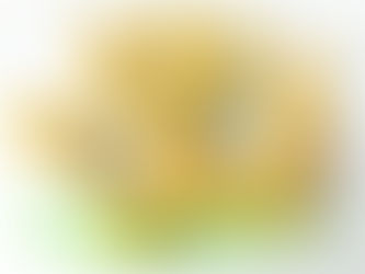 梅ばあさんことの乗松祥子さんの梅！